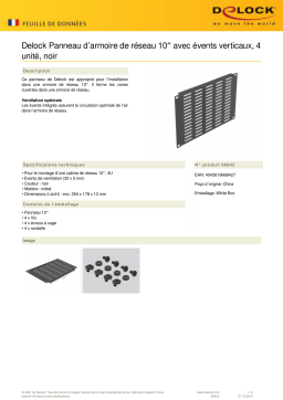 DeLOCK 66842 10″ Network Cabinet Panel Fiche technique