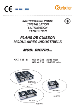 Bartscher 1059503 Gas cooker 1K650 Mode d'emploi