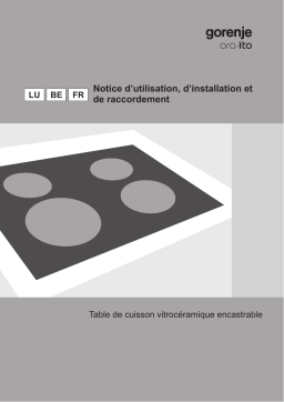 Gorenje SVK66CS Table de cuisson vitrocéramique ECT 610 - ORA Une information important