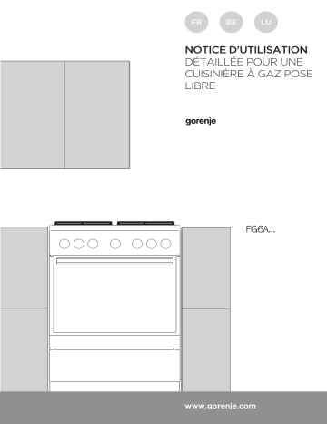 Gorenje FG6A1A-JPG5E Cuisinière à gaz GI6120SJ Une information important | Fixfr