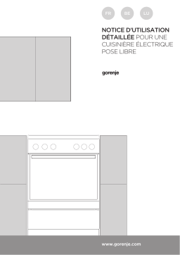 Gorenje FC6A1A-DSAA2 Cuisinière électrique E6120SD Une information important