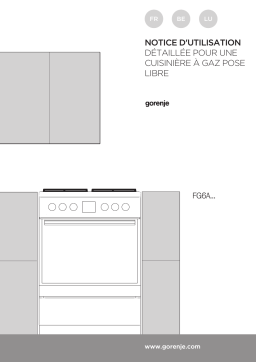 Gorenje FG6A1I-APG4E Cuisinière à gaz GI6320XA Une information important