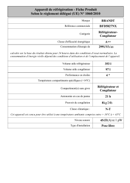 Brandt BFD5827NX Top-freezer refrigerator Manuel utilisateur