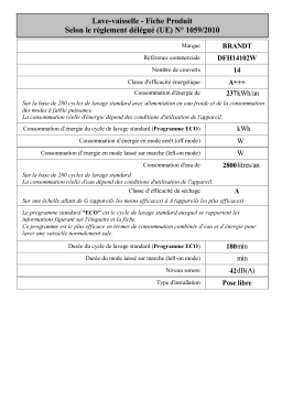 Brandt DFH14102W Free-standing dishwasher Manuel utilisateur