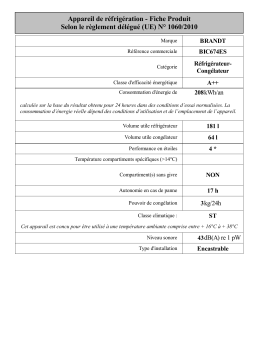 Brandt BIC674ES Built-in refrigerator Manuel utilisateur