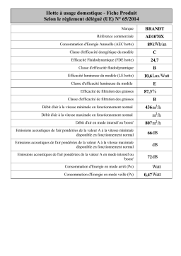 Brandt AD1070X Wall-mounted extractor hood Manuel utilisateur