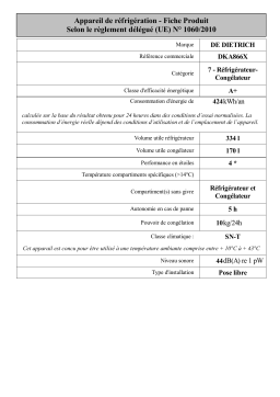 De Dietrich DKA866X American-Style Fridge Manuel utilisateur