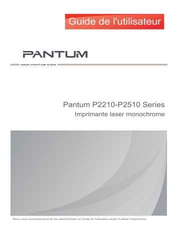 P2518 | Pantum P2516 Mode d'emploi | Fixfr