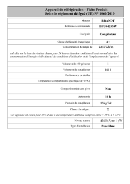 Brandt BFU4425SW Upright freezer Manuel utilisateur
