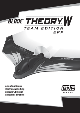 Blade BLH03045 Theory Type W Team Edition BNF Basic, 760mm Manuel utilisateur