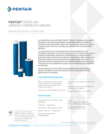 Pentair Industries GAC-BB Pentair Pentek Big Blue Carbon Water Filter spécification | Fixfr