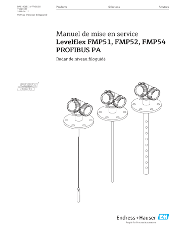 Endres+Hauser Levelflex FMP51, FMP52, FMP54 PROFIBUS PA Mode d'emploi | Fixfr