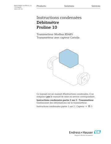 Endres+Hauser Flowmeter Proline 10 Manuel utilisateur | Fixfr