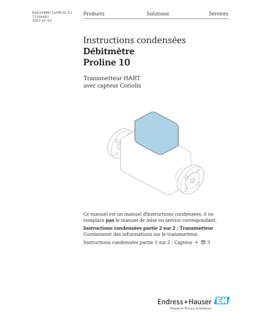 Endres+Hauser Flowmeter Proline 10 Manuel utilisateur | Fixfr