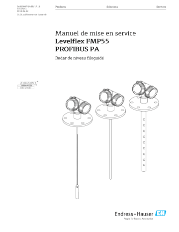 Endres+Hauser Levelflex FMP55 PROFIBUS PA Mode d'emploi | Fixfr