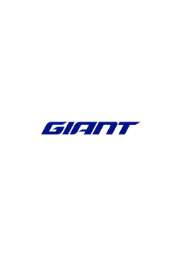 Giant Saddles Manuel utilisateur