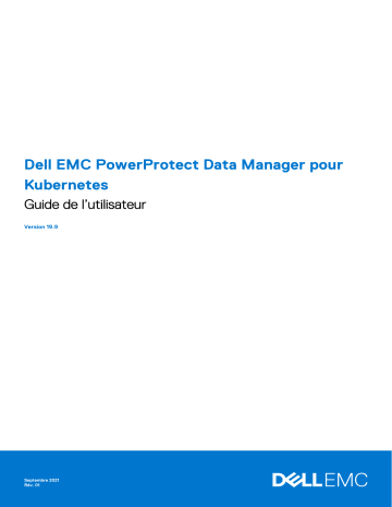 Dell PowerProtect Data Manager Manuel utilisateur | Fixfr