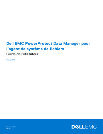 Dell PowerProtect Data Manager Manuel utilisateur | Fixfr