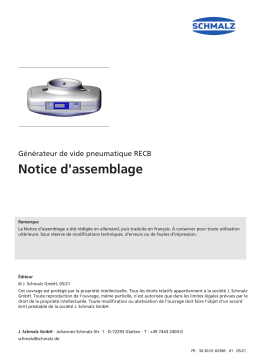 Schmalz  RECB 24V-DC NC M12-5 Pneumatic end-of-arm vacuum generator for lightweight con- struction and industrial robots  Mode d'emploi