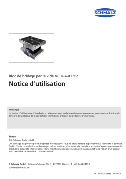 Schmalz  VCBL-A-K2-120x50x100-D-360 Aluminium Vacuum Block in case of high machining forces  Mode d'emploi