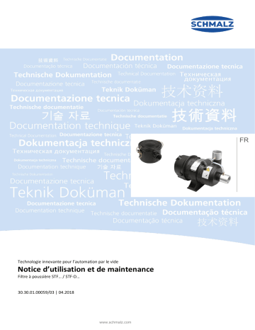  STF 110 P 12.0 SSB  |  STF-D 60 P 4.5 F SSD  |  STF G1-1/4-IG N  |  STF 75 P 8.0 SSD  |  STF 100 P 24.0 SSB  |  STF 100 P 12.0 SSB  |  STF-D 60 P 6.0 F SSD  |  STF G3/4-IG N  |  STF-D 75 P 8.0 F SSD  | Schmalz  STF 75 P 12.0 SSD Dust filter  Mode d'emploi | Fixfr