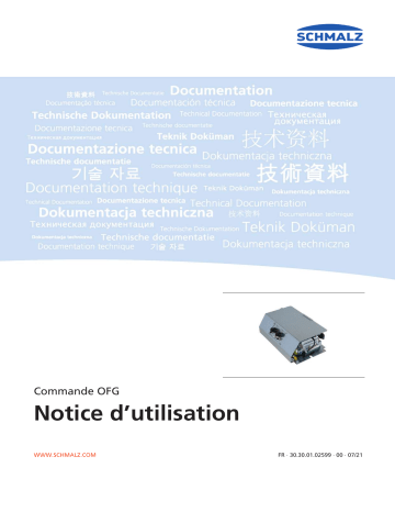  STEU 24V-DC OFG-C-2Z  |  STEU 24V-DC OFG-C  | Schmalz  STEU 24V-DC OFG-B Controller  Mode d'emploi | Fixfr