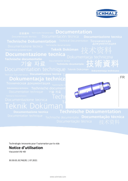 Schmalz  VSi HD V M12-4 Vacuum and pressure switch digital output signals and IO-Link function  Mode d'emploi