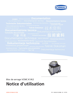 Schmalz  VCMC-K2-QUICK 170x135x100 10-100 Mechanical clamp for narrow and frame parts, 2-circuit console  Mode d'emploi