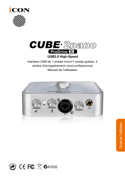 Icon Cube2Nano(Pro DriveIII) Interface Manuel utilisateur