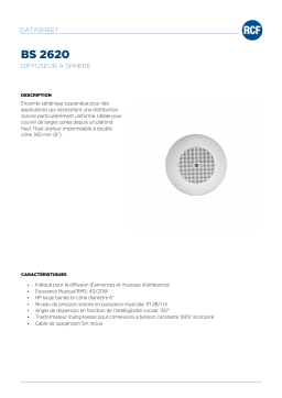 RCF BS 2620 SUSPENDED SPEAKER spécification