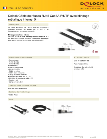 DeLOCK 80116 Network cable RJ45 Cat.6A F/UTP Fiche technique | Fixfr