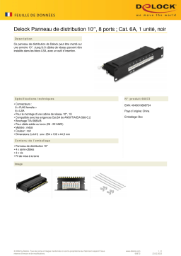 DeLOCK 66872 10″ Patch Panel 8 port Cat.6A 1U black Fiche technique