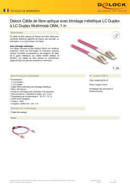 DeLOCK 87913 Fiber Optical Cable Fiche technique