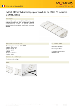 DeLOCK 20803 Mounting element for cable duct 75 x 45 mm 5 pieces white Fiche technique