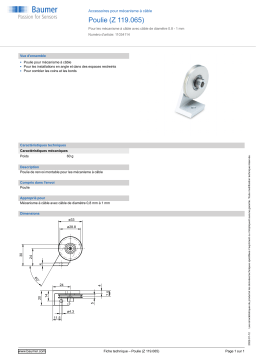 Baumer Idler pulley (Z 119.065) Mounting cable transducer Fiche technique