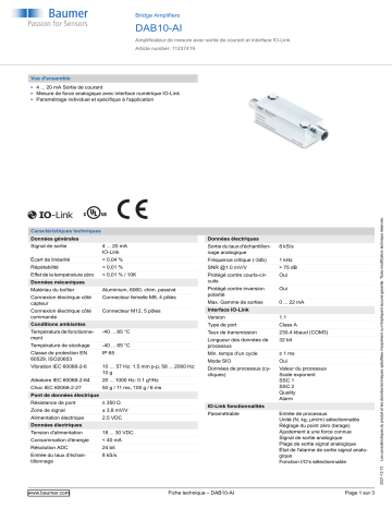 Baumer DAB10-AI Bridge Amplifier Fiche technique | Fixfr