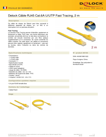 DeLOCK 80102 RJ45 Cable Cat.6A U/UTP Fast Tracing 2 m Fiche technique | Fixfr