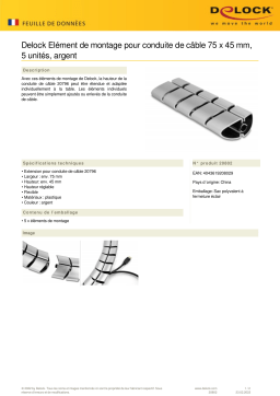 DeLOCK 20802 Mounting element for cable duct 75 x 45 mm 5 pieces silver  Fiche technique