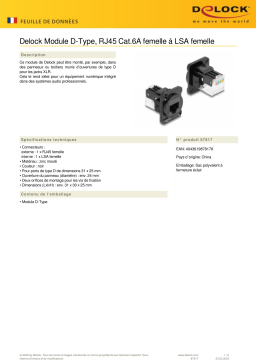 DeLOCK 87817 D-Type Module RJ45 Cat.6A female to LSA female Fiche technique