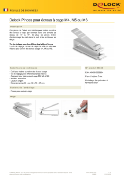 DeLOCK 66869 Pliers for cage nuts M4, M5 and M6 Fiche technique