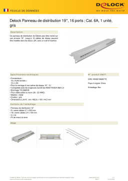 DeLOCK 66877 19″ Patch Panel 16 port Cat.6A 1U grey Fiche technique