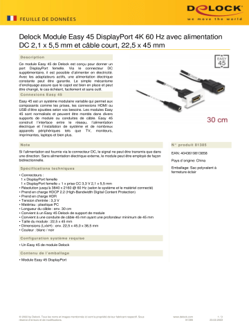 DeLOCK 81385 Easy 45 DisplayPort 4K 60 Hz Module Fiche technique | Fixfr