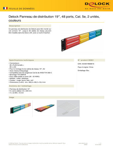 DeLOCK 66881 19″ Patch Panel 48 port Cat.5e 2U coloured Fiche technique | Fixfr