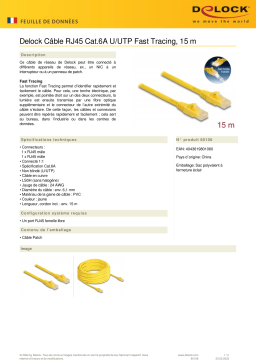 DeLOCK 80106 RJ45 Cable Cat.6A U/UTP Fast Tracing 15 m Fiche technique