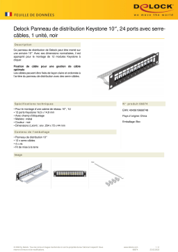 DeLOCK 66874 10″ Keystone Patch Panel 12 port Fiche technique