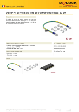 DeLOCK 66866 Grounding Kit for network cabinet 30 cm Fiche technique