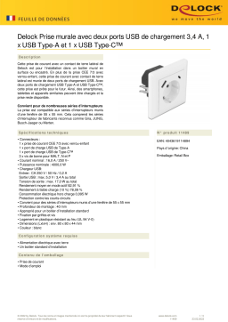 DeLOCK 11489 Wall Socket Fiche technique