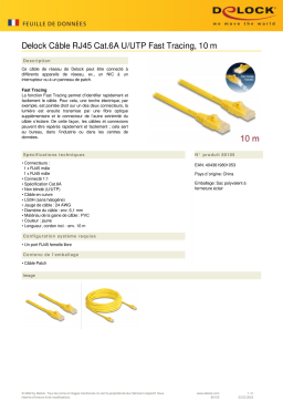 DeLOCK 80105 RJ45 Cable Cat.6A U/UTP Fast Tracing 10 m Fiche technique