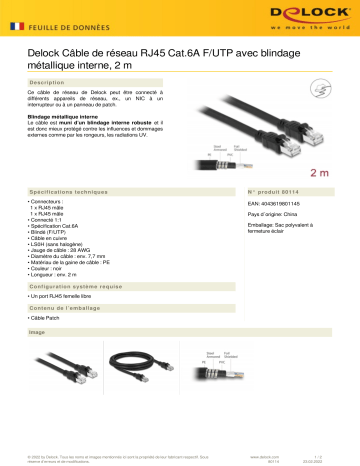 DeLOCK 80114 Network cable RJ45 Cat.6A F/UTP Fiche technique | Fixfr