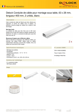 DeLOCK 20885 Cable Duct for under-table mounting 63 x 28 mm - length 400 mm 2 pieces white Fiche technique